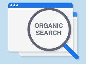 Tandofer Organik SEO